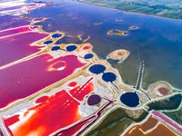 Vẻ đẹp bí ẩn của 