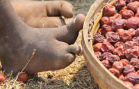 Bí ẩn bộ tộc không thể đi giày 