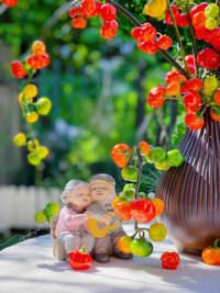  Chiêm ngưỡng những cành, quả được trang trí rất bắt mắt trong nhà