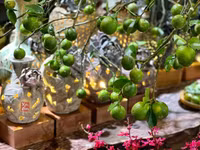  Chiêm ngưỡng những cành, quả được trang trí rất bắt mắt trong nhà