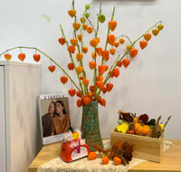  Chiêm ngưỡng những cành, quả được trang trí rất bắt mắt trong nhà