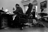 [ẢNH] Những đệ nhất thú cưng sống trong Nhà Trắng qua các đời Tổng thống Mỹ