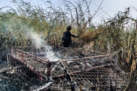 [ẢNH] Iraq tung lực lượng đặc nhiệm ráo riết truy lùng phiến quân IS