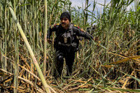 [ẢNH] Iraq tung lực lượng đặc nhiệm ráo riết truy lùng phiến quân IS