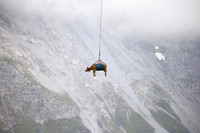 Những khoảnh khắc lạ lùng trên thế giới trong năm 2021