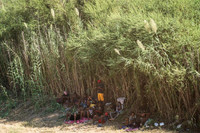 [ẢNH] Hàng nghìn người di cư tập trung ở biên giới Mỹ, thách thức không nhỏ với ông Biden