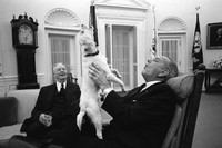 [ẢNH] Những đệ nhất thú cưng sống trong Nhà Trắng qua các đời Tổng thống Mỹ