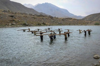 [ẢNH] Quyết chiến tại Panjshir, Taliban và lực lượng phản kháng đều tổn thất nặng