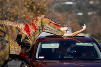 Những khoảnh khắc lạ lùng trên thế giới trong năm 2021