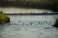 [ẢNH] Hàng nghìn người di cư tập trung ở biên giới Mỹ, thách thức không nhỏ với ông Biden