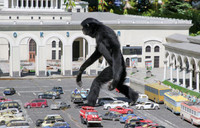 Những khoảnh khắc lạ lùng trên thế giới trong năm 2021