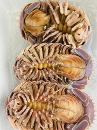 Những đặc sản đắt đỏ ít người dám ăn