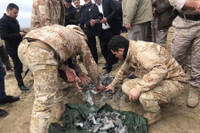 [ẢNH] Tướng Lebanon: Iran đủ khả năng tấn công 54 căn cứ quân sự Mỹ ở Trung Đông