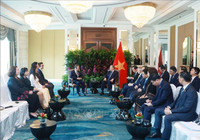 Tổng Bí thư Tô Lâm tiếp lãnh đạo một số tập đoàn, doanh nghiệp hàng đầu của Singapore