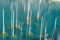  Bí ẩn của thế giới dưới nước tại hồ Kaindy