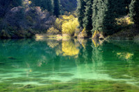  Bí ẩn của thế giới dưới nước tại hồ Kaindy