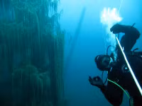  Bí ẩn của thế giới dưới nước tại hồ Kaindy