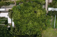 Cây Di sản Việt Nam: Rộng 3.000m², có hàng nghìn rễ