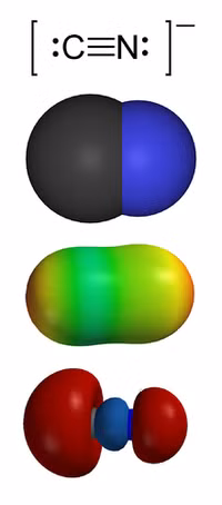 Cảnh giác với các thực phẩm tự nhiên chứa xyanua 