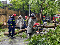 Dọn dẹp cây xanh gãy đổ la liệt sau bão số 3, thông đường sớm nhất