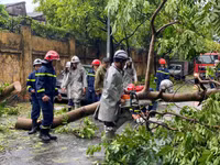 Dọn dẹp cây xanh gãy đổ la liệt sau bão số 3, thông đường sớm nhất