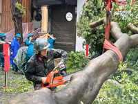 Dọn dẹp cây xanh gãy đổ la liệt sau bão số 3, thông đường sớm nhất