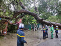 Dọn dẹp cây xanh gãy đổ la liệt sau bão số 3, thông đường sớm nhất