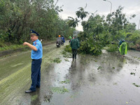 Dọn dẹp cây xanh gãy đổ la liệt sau bão số 3, thông đường sớm nhất