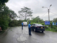 Dọn dẹp cây xanh gãy đổ la liệt sau bão số 3, thông đường sớm nhất