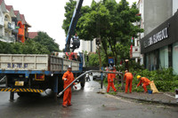 Dọn dẹp cây xanh gãy đổ la liệt sau bão số 3, thông đường sớm nhất