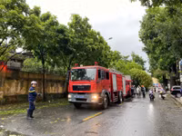 Dọn dẹp cây xanh gãy đổ la liệt sau bão số 3, thông đường sớm nhất
