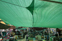 Mất nhà, mất người thân, người dân Myanmar đang xoay sở từng ngày sau trận động đất