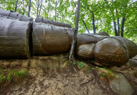 Bí ẩn những tảng đá biết 