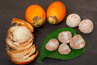 Tác dụng tuần hoàn máu, kháng khuẩn của quả cau