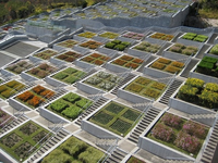 Cầu thang giữa thiên nhiên độc đáo nhất trên thế giới