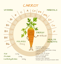 Những thực phẩm có khả năng thanh lọc cơ thể