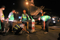 Cầu Thanh Trì sắp xếp làn riêng cho xe máy, nhiều ô tô vẫn đi vào