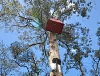 [ẢNH] Những ngôi nhà biệt lập nhất thế giới, không phải ai cũng biết