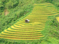 [ẢNH] Những ngôi nhà biệt lập nhất thế giới, không phải ai cũng biết