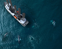 Tàu cánh buồm sản xuất năng lượng từ gió và mặt trời có thể gấp gọn