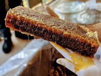 Loại mật ong đắt nhất thế giới, được mệnh danh là 