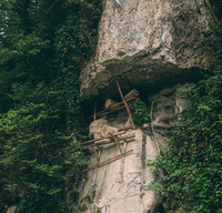 Loại mật ong đắt nhất thế giới, được mệnh danh là 