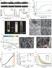 Phát hiện một loại protein có thể làm chậm lão hóa ở người