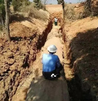 Cây gỗ hóa ngọc sánh ngang kim cương, giá 600 tỷ đồng