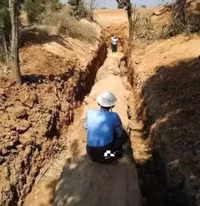 Cây gỗ hóa ngọc sánh ngang kim cương, giá 600 tỷ đồng