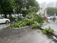 Nhiều tuyến phố ngập nước trong trận mưa lớn kéo dài do bão số 2