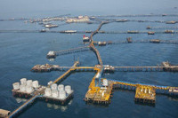 Khám phá thành phố giàn khoan lâu đời nhất trên thế giới