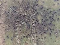 Xung đột Nga-Ukraine: Trận đánh lớn ở Donbass thay đổi cục diện?