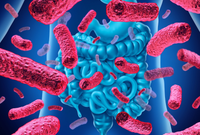 Vi khuẩn nguy hại sinh sôi trong lò vi sóng gia đình