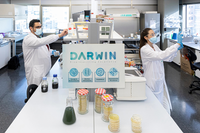 Vi khuẩn nguy hại sinh sôi trong lò vi sóng gia đình